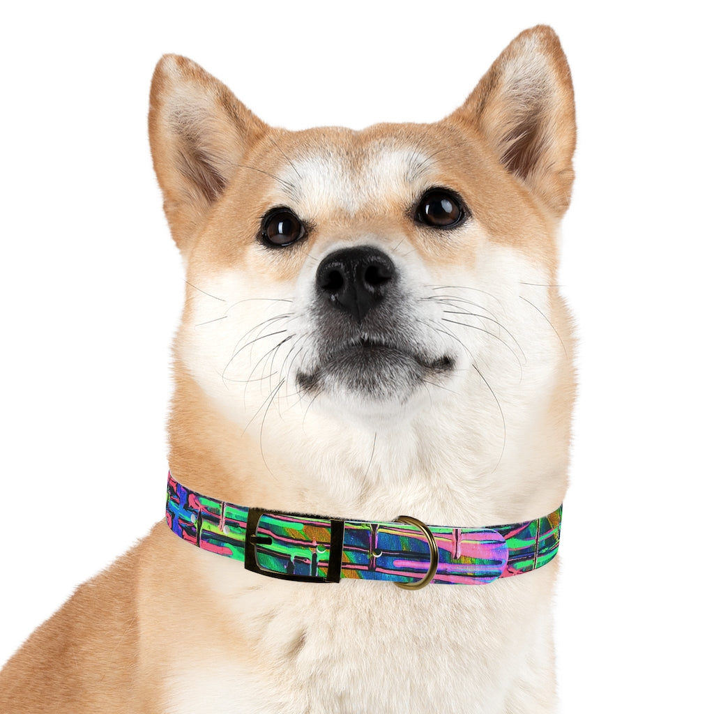 Drip Dog Collar