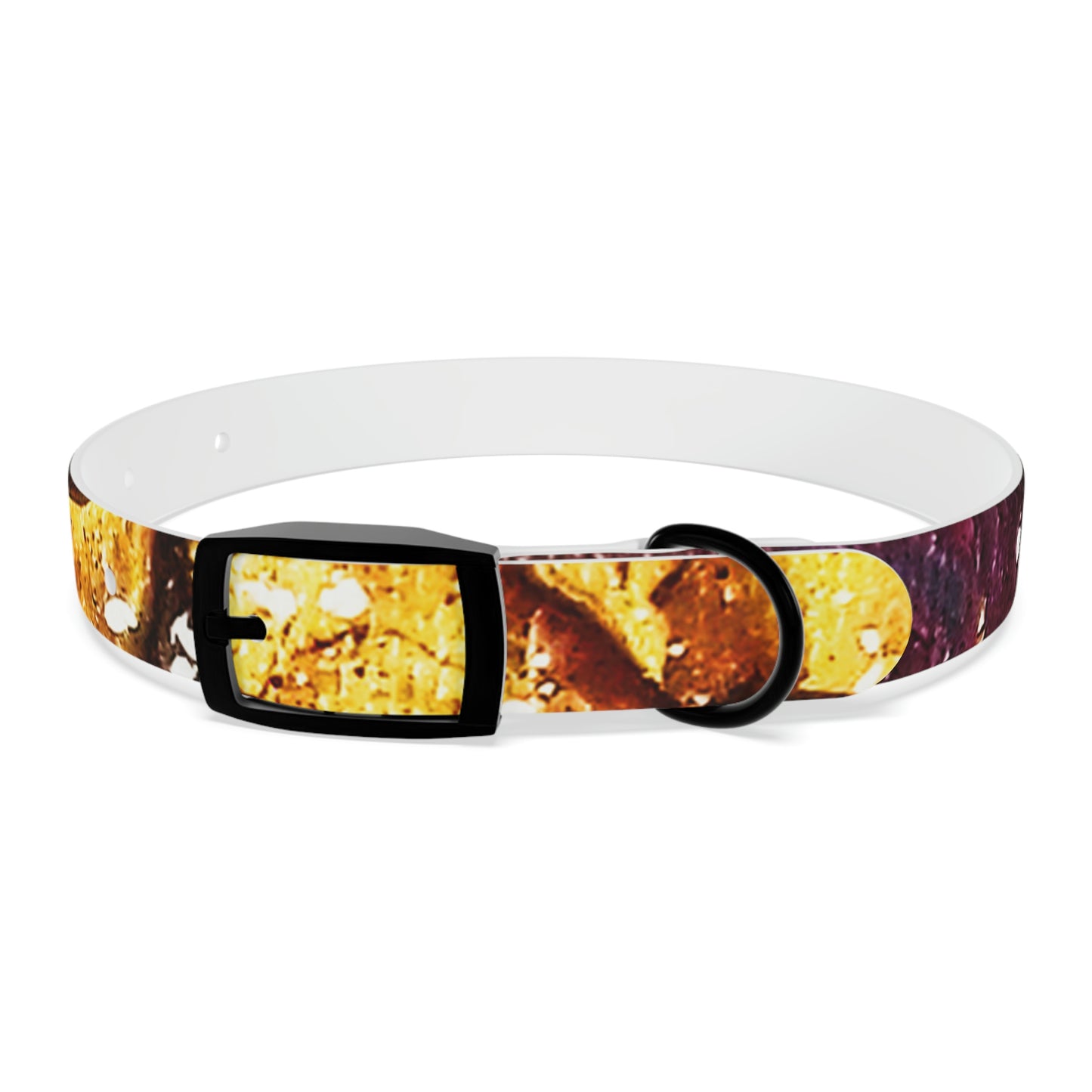 Heaven Meets Universe Dog Collar