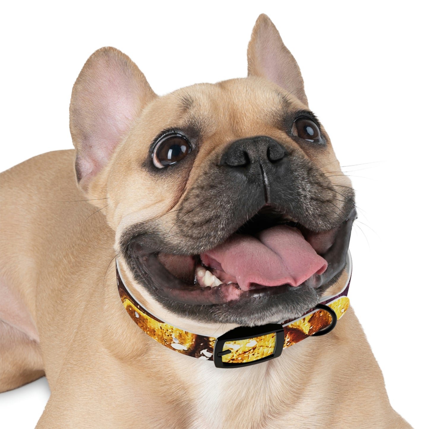 Heaven Meets Universe Dog Collar