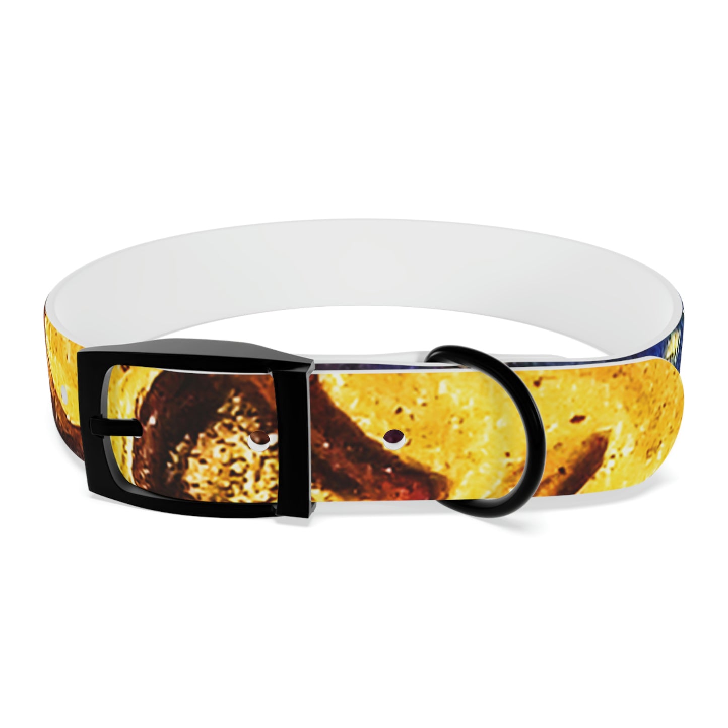 Heaven Meets Universe Dog Collar