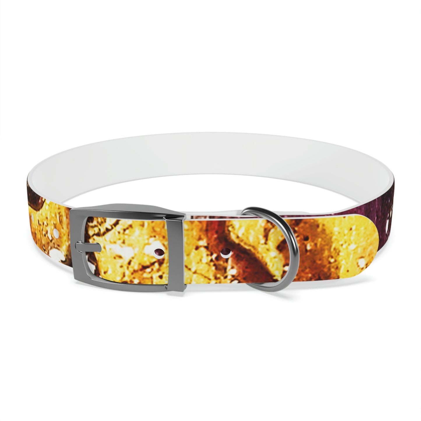 Heaven Meets Universe Dog Collar