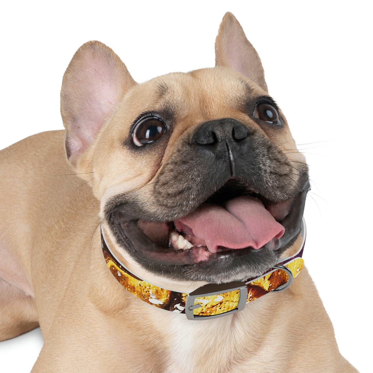 Heaven Meets Universe Dog Collar