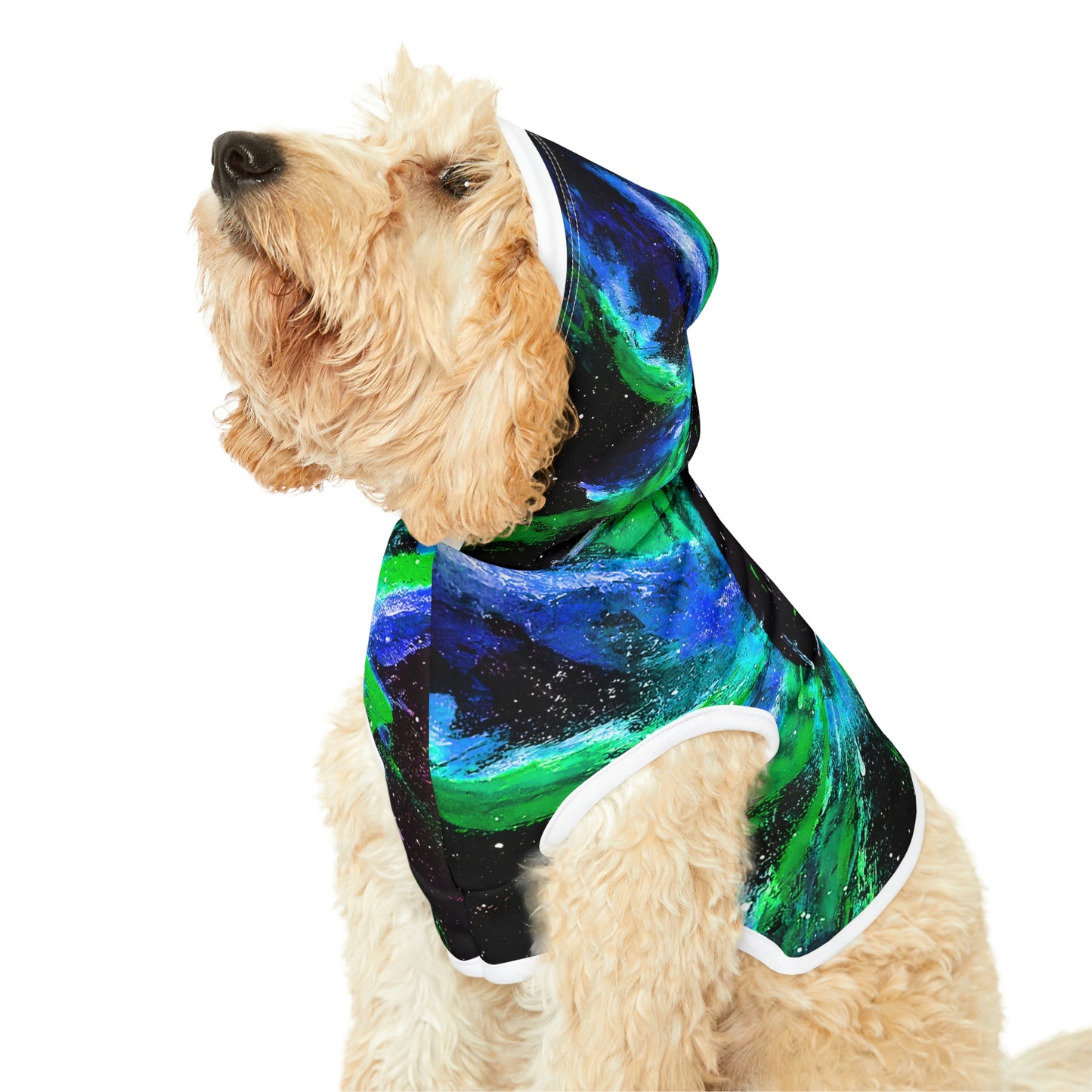 Black Hole Dog Hoodie