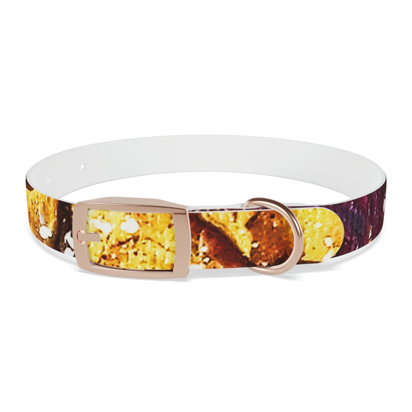 Heaven Meets Universe Dog Collar