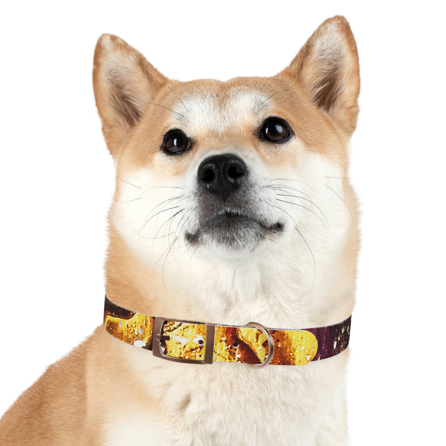 Heaven Meets Universe Dog Collar