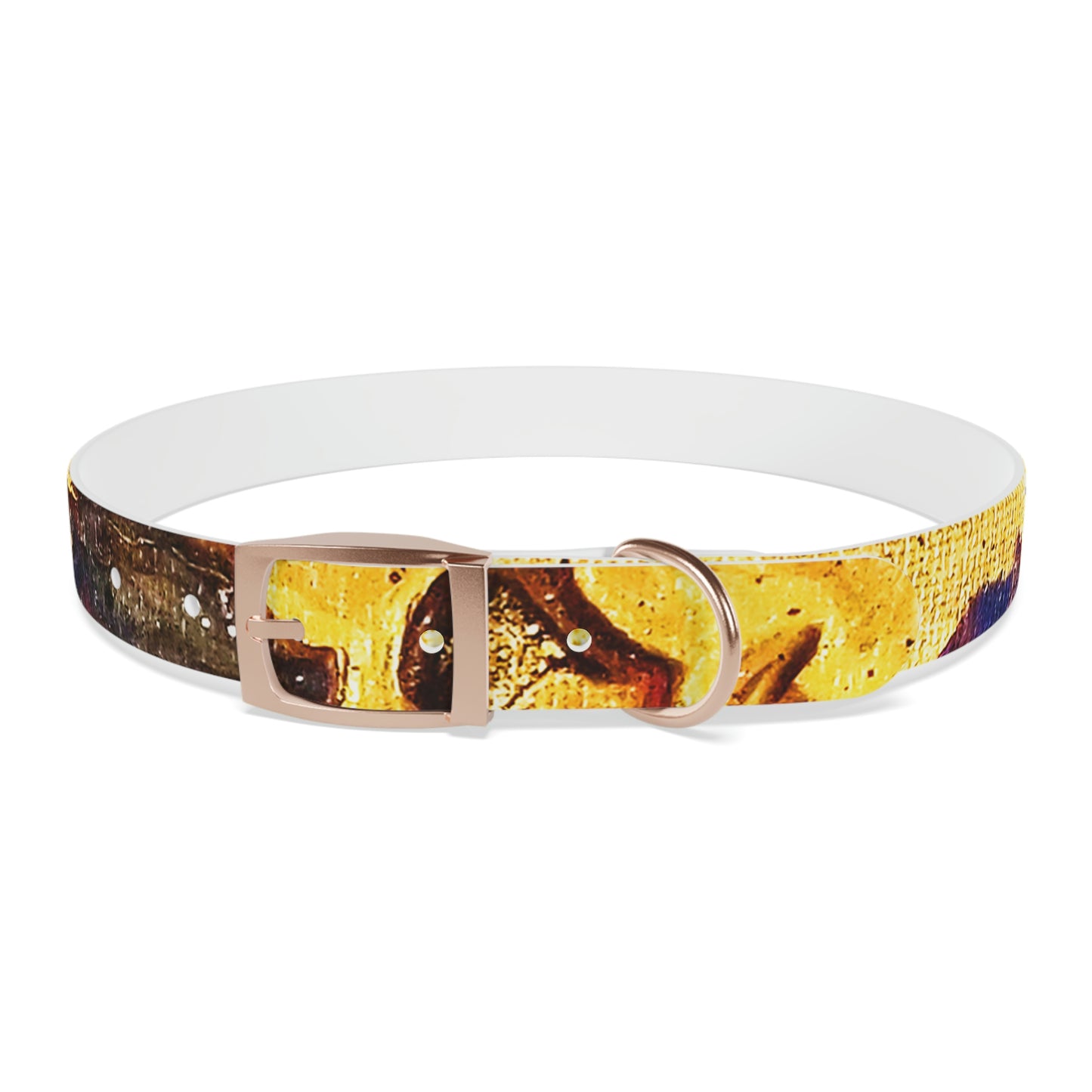 Heaven Meets Universe Dog Collar